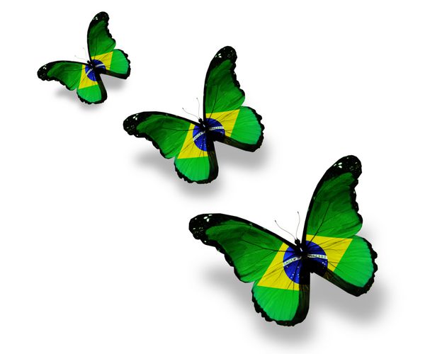 سه پروانه پرچم برزیل جدا شده روی سفید