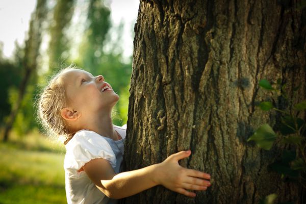دختر کوچکی که درختی را در آغوش گرفته و به بالا نگاه می کند