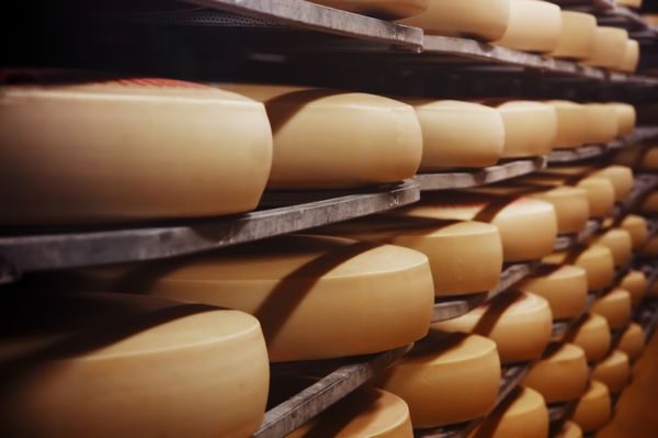 عکس یک کارخانه پنیر سازی