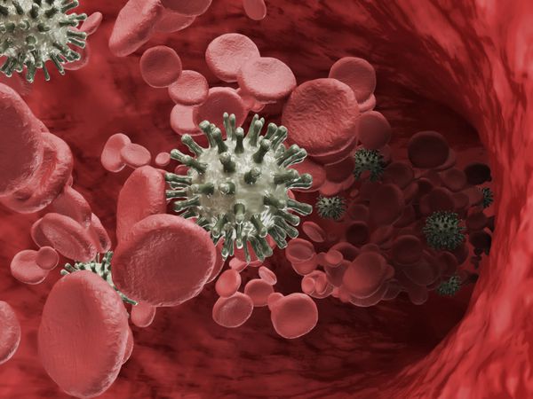گلبول‌های قرمز خون و ویروس‌هایی که از طریق ورید جریان دارند
