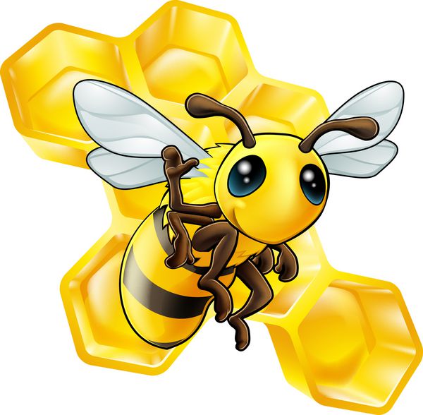 زنبور عسل و لانه زنبوری