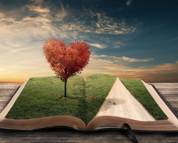درخت قلب و کتاب