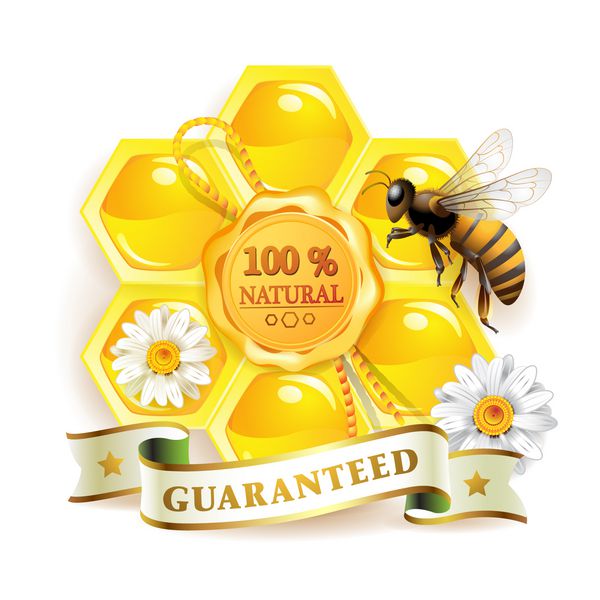 زنبور عسل با لانه زنبوری و مهر با کیفیت جدا شده روی سفید