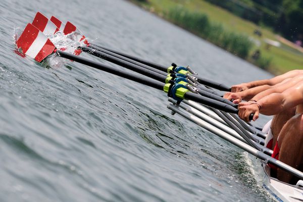 Canoa a quattro con pale rose