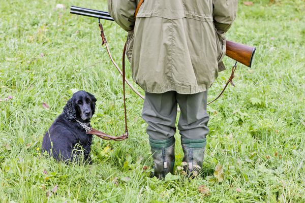 سگ شکاری با شکارچی