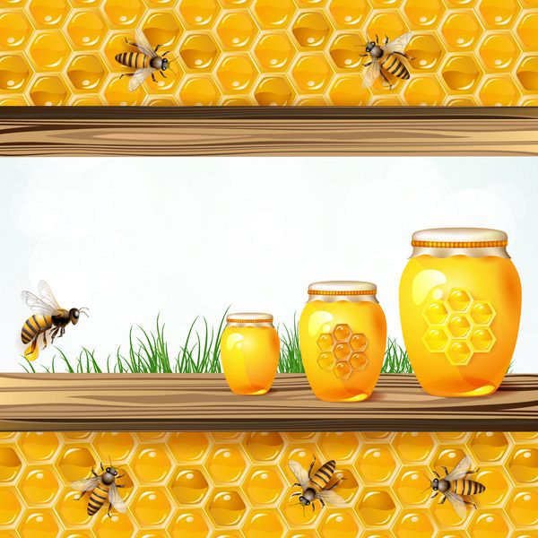 قاب منظره با زنبورهای شیشه ای و لانه زنبوری