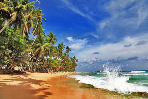 سواحل زیبای وحشی سریلانکا