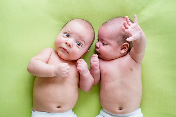 دو نوزاد برادر دوقلو روی سبز دراز کشیده اند