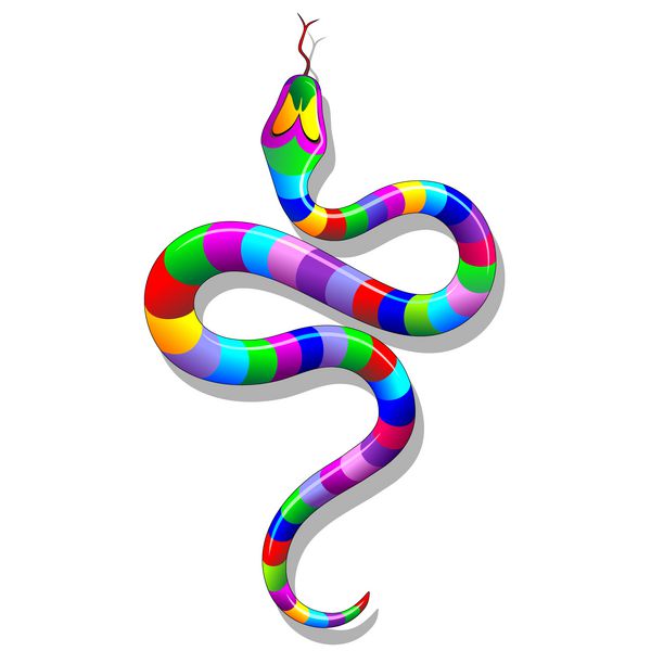 Snake Psychedelic Rainbow-Serpente Arcobaleno Psichedelico