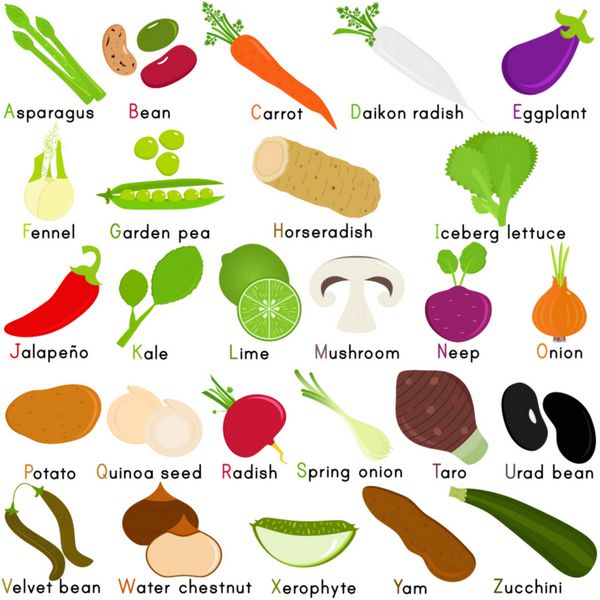 نمادهای وکتور سبزیجات با الفبای A تا Z