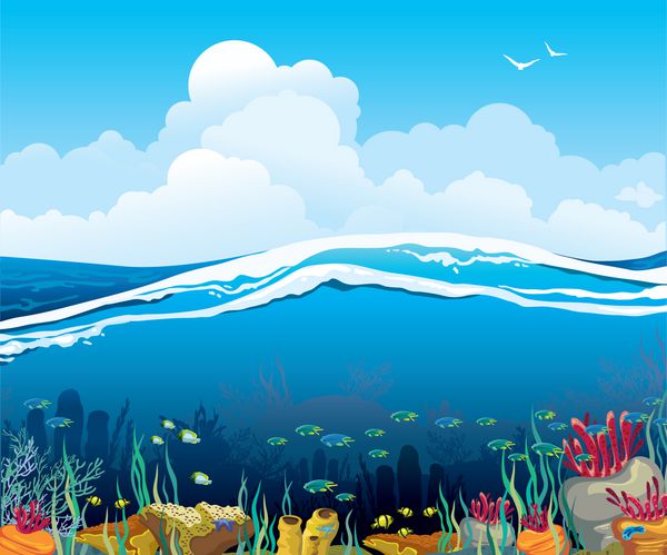 منظره دریایی با موجودات زیر آب و آسمان ابری