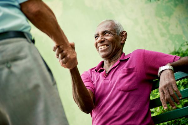 مردان پیر سیاه پوست و قفقازی در پارک با یکدیگر ملاقات می کنند و دست می دهند
