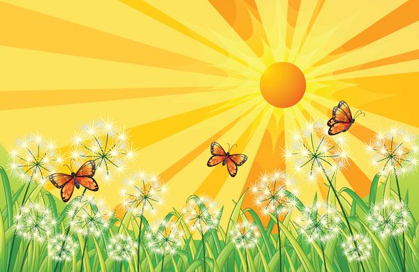 منظره غروب خورشید با پروانه ها