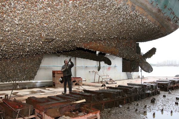 کارگر کشتی سازی آب استویا کشتی را تمیز می کند