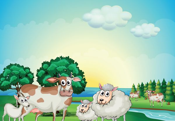 گوسفند گاو و بز در نزدیکی رودخانه جاری