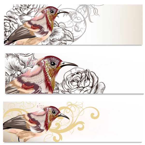 کارت ویزیت گلدار با پرندگان و گل برای طراحی