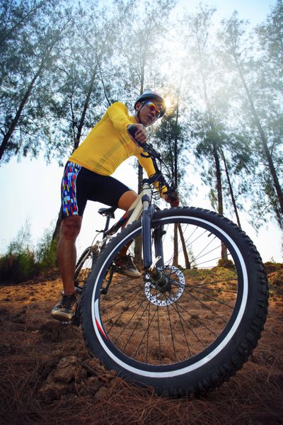 مرد جوان دوچرخه سواری کوهستان mtb در مسیر جنگل استفاده برای ورزش