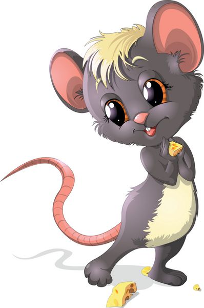 موش