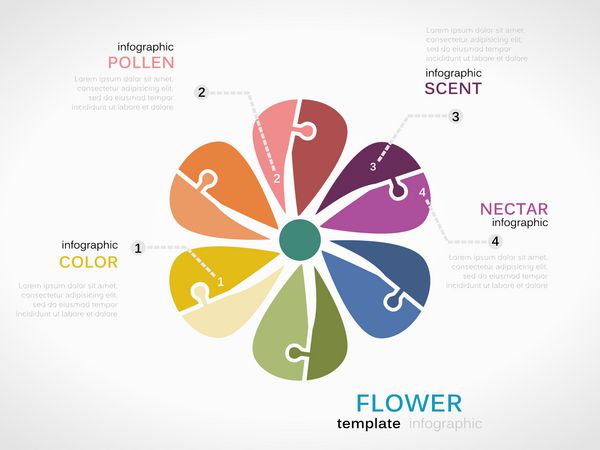 الگوی اینفوگرافیک مفهوم طبیعت با گل