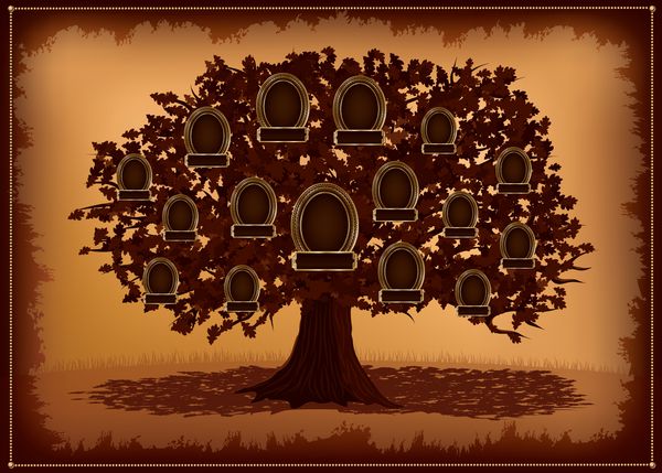 وکتور درخت خانوادگی با قاب و برگ