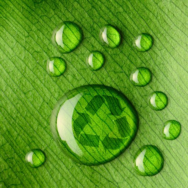 قطرات آب زیبا روی لوگوی نمای نزدیک برگ و بازیافت
