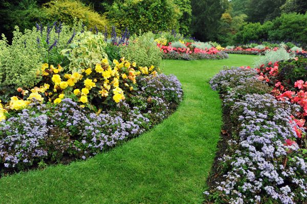 تخت گل های رنگارنگ و مسیر چمن پیچ در پیچ در یک باغ رسمی انگلیسی جذاب