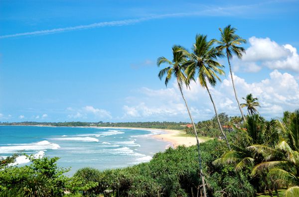 ساحل نخل ها و آب فیروزه ای اقیانوس هند بنتوتا سریلانکا