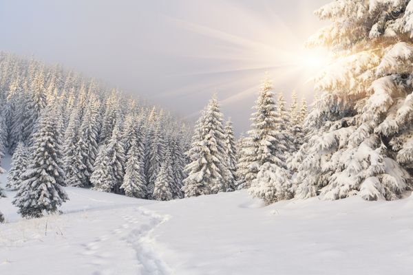 چشم انداز زیبای زمستانی در کوهستان طلوع خورشید