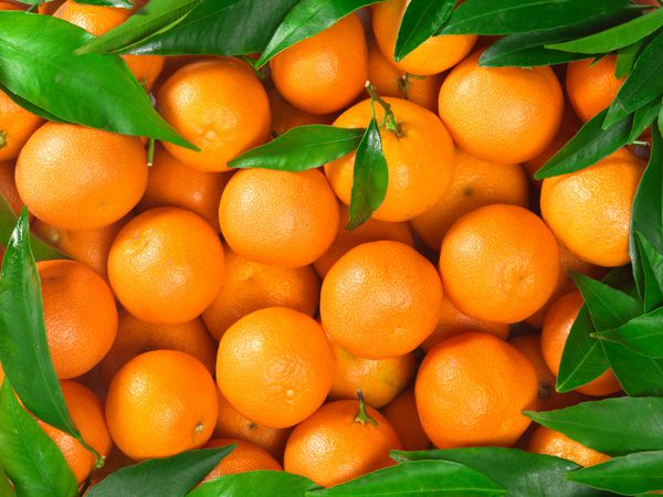 دسته نارنگی تازه پرتقال در بازار