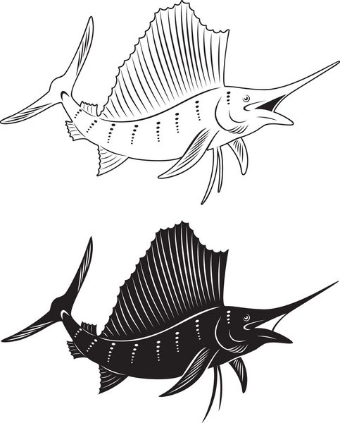 شکل یک مارلین ماهی را نشان می دهد