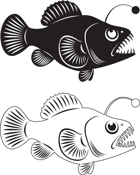 شکل ماهی ماهیگیر را نشان می دهد