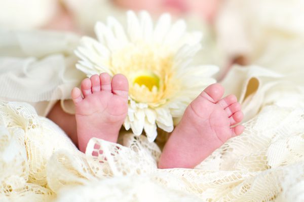 پاهای بچه کوچک دوست داشتنی با نمای نزدیک گل