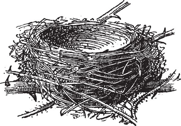 لانه کلاه سیاه یا سیلویا آتریکاپیلا از شاخه‌ها علف‌ها برگ‌ها تصویر حکاکی‌شده قدیمی تشکیل شده است فرهنگ لغات و اشیا - لاریو و فلوری - 1895