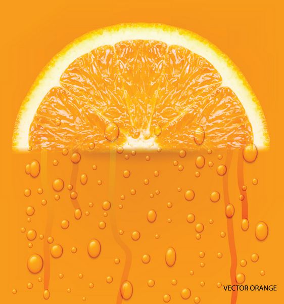 میوه نارنجی با پس زمینه قطرات آب وکتور