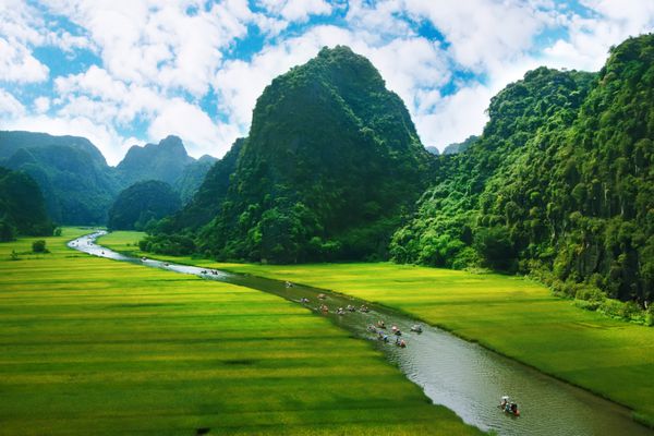 مزرعه برنج و رودخانه ninhbinh مناظر ویتنام