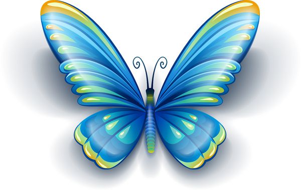 حشره پروانه آبی با بال های رنگی - وکتور جدا شده در پس زمینه سفید