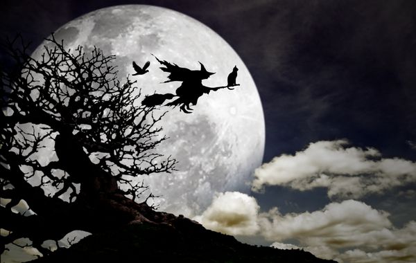 شبح یک جادوگر با گربه و کلاغش که در گرگ و میش برای هالووین روی یک چوب جارو روی ماه کامل پرواز می کند