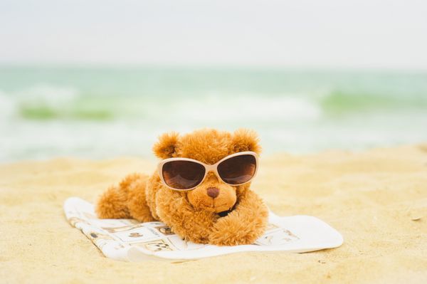 خرس عروسکی در ساحل در حال آفتاب گرفتن است