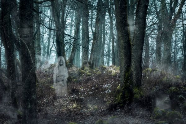 جنگل با ارواح