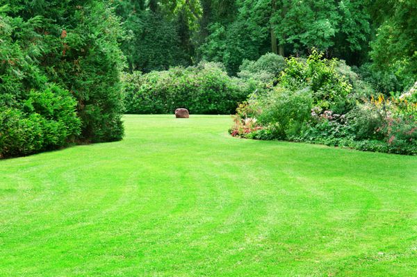 باغ تابستانی زیبا با چمنزارهای سبز بزرگ