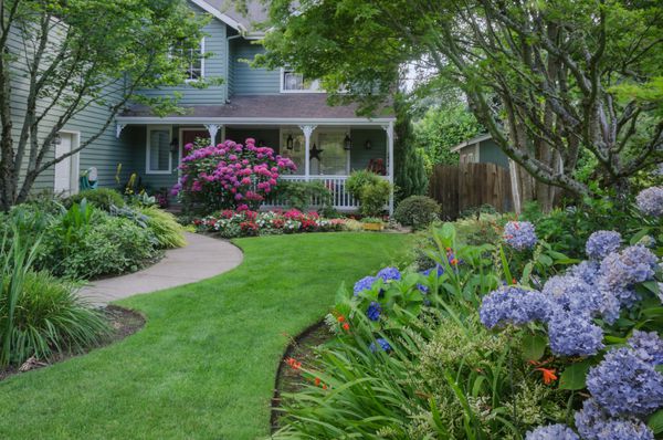 ورود به خانه از طریق باغی زیبا که با گل رز و ادریسی آبی برجسته شده است
