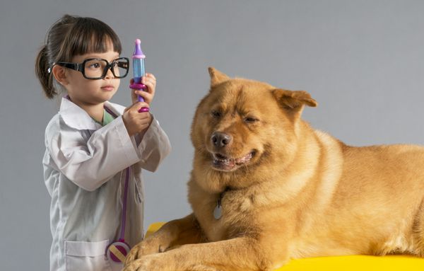 دختر دامپزشک با سگ