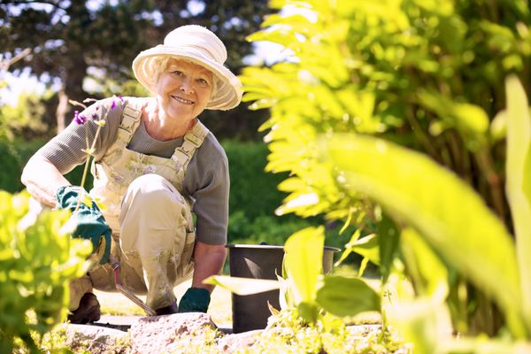 زن مسن شاد با ابزار باغبانی که در باغچه حیاط خلوت خود کار می کند