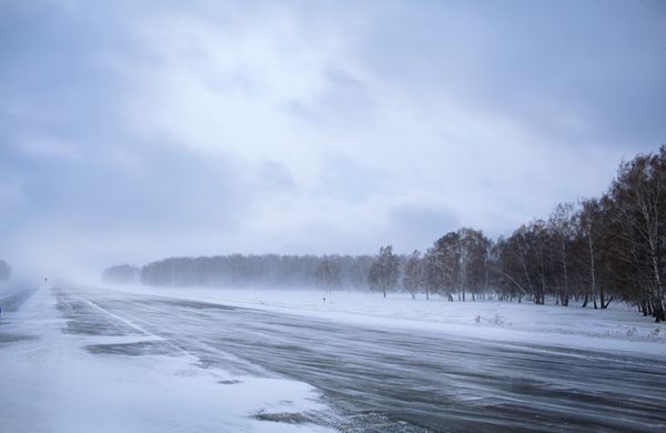 جاده زمستانی در جنگل برفی