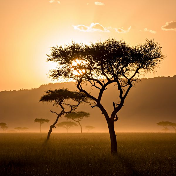 غروب زیبای خورشید در ماسای مارا کنیا قاب مربع