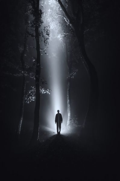 صحنه تاریک با شبح مرد در جنگل در شب