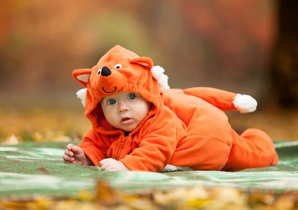 پسر بچه ناز با لباس روباه در پارک پاییز
