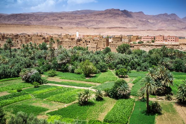 واحه در دره داد مراکش
