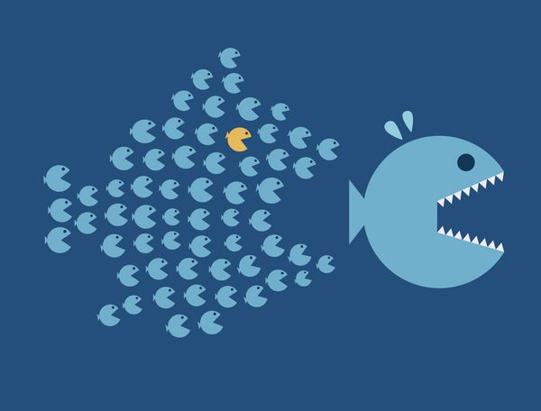 ماهی کوچولو ماهی بزرگ میخوره اتحاد کار تیمی سازماندهی مفهوم
