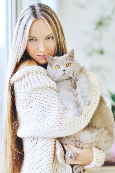 پرتره نزدیک دختری زیبا که گربه بریتانیایی را در آغوش گرفته است پرتره یک دختر زیبا با ژاکت گرم